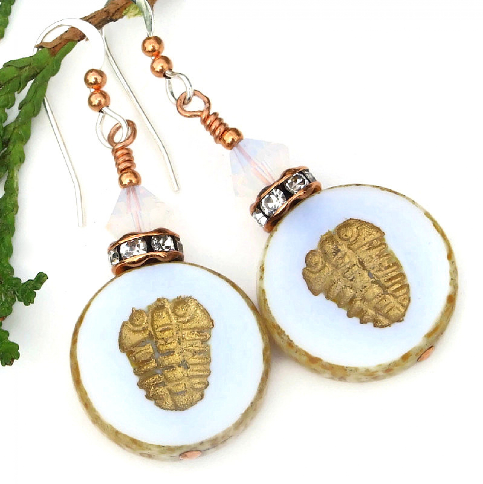 Trilobite earrings outlet