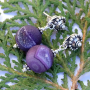 PASSION PURPLE - Purple Druzy Handmade Earrings, Agate Sterling Jewelry fd3fed3e733521a163f48b3e1b4e7f5f7812a962db1629ce1ff21ccda8c51745.jpg